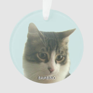 Personalised Custom Tabby Cat Photo on Light Blue Ornament