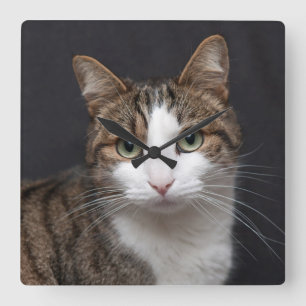 Personalised Custom Tabby Cat Single Pet Photo Square Wall Clock