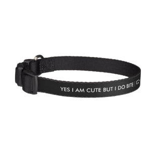 cool collars for humans
