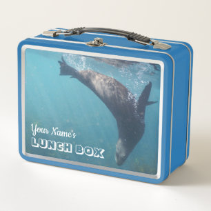 Personalised cute and playful Australian Fur Seal Metal Lunch Box