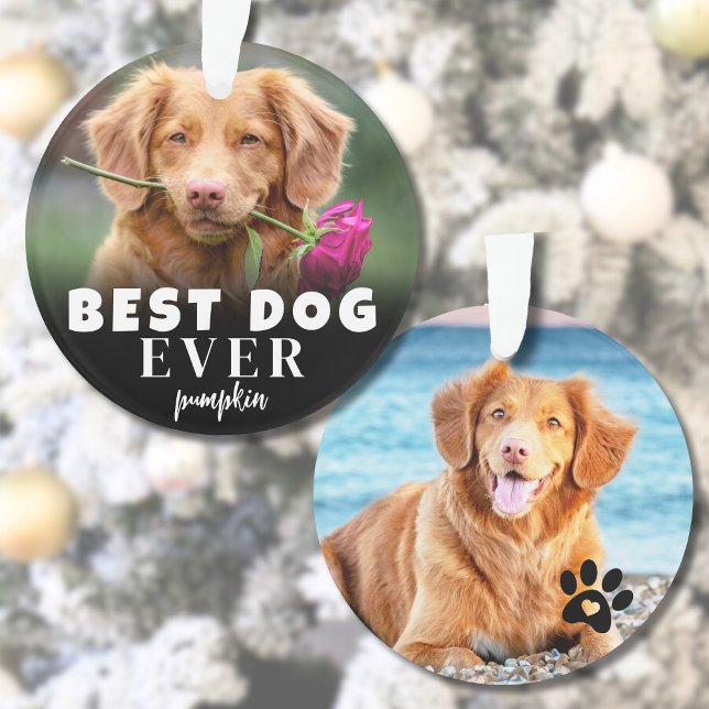 Personalised Cute Best Dog Photo Ornament (Personalized Cute Best Dog Photo Ornament )