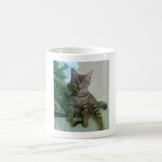 Personalised cute cat mugs (Center)