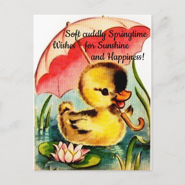 Personalised Cute Chic Spring Postcard (Front)