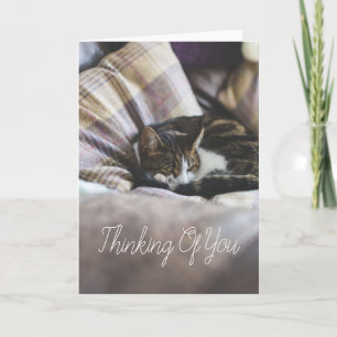 Personalised Cute Cosy Sleeping Cat Greetings Card