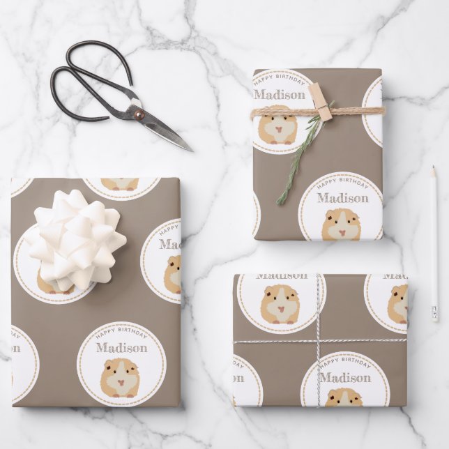 Personalised Cute Hamster Pattern Birthday Party Wrapping Paper Sheet (Front)