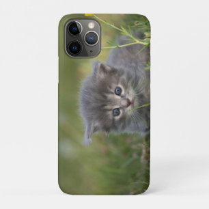 Personalised Cute Kitten Case-Mate iPhone Case