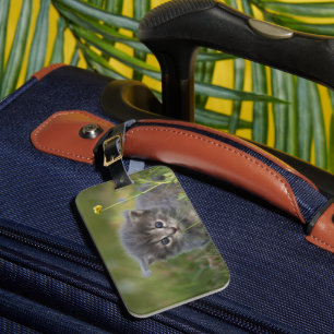 Personalised Cute Kitten Luggage Tag
