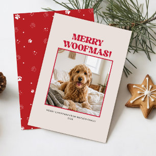 Personalised Cute Red Pet Photo Dog Christmas Holiday Card