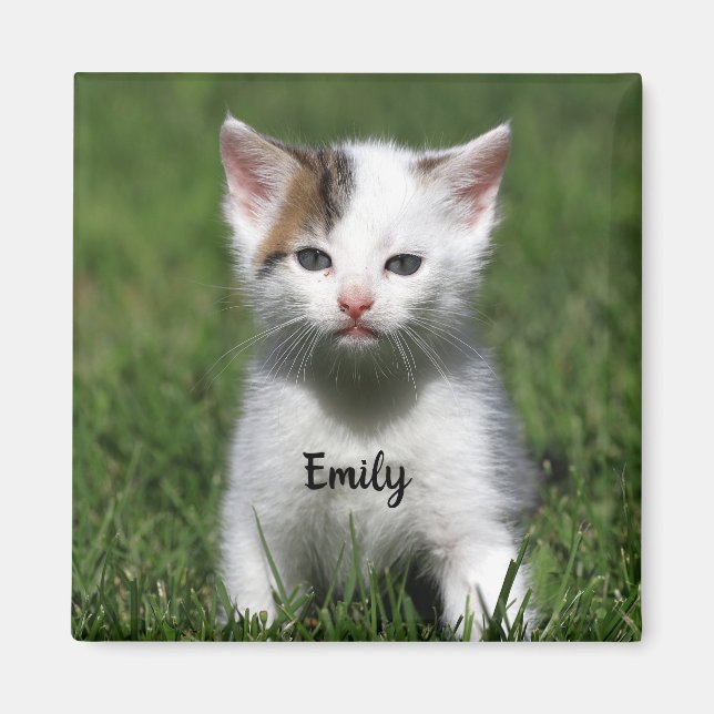 Personalised Cute White Kitten Magnet (Front)