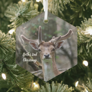 Personalised Deer Photo Christmas Ornament