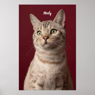 Personalised Dog & Cat Name Photo Prints, Instant Poster