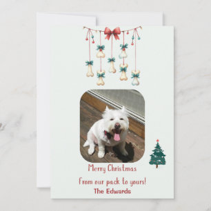 Personalised Dog Christmas Photo Card