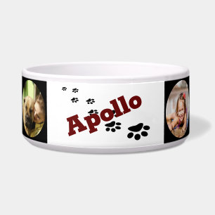 Personalised Dog Food Bowl - HAMbWG