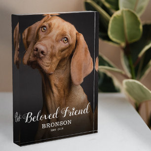 Personalised Dog Memorial Photo Block