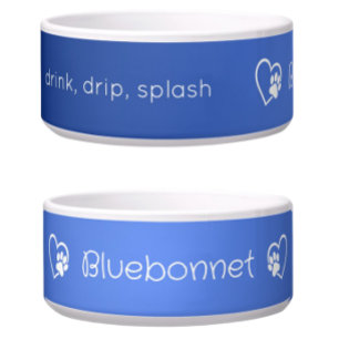 Personalised Dog Name Bowl Azure drink drip splash