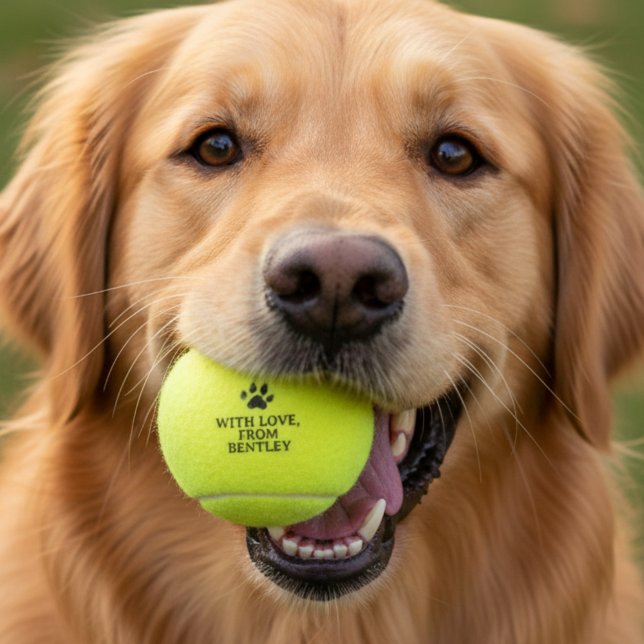 Personalised Dog Parent Wedding Favour Tennis Balls (Send wedding guests home with a wedding favor for their furry friend!)