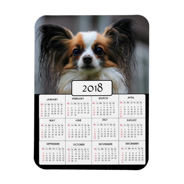 Personalised Dog Photo  2018 Calendar Magnet (Vertical)