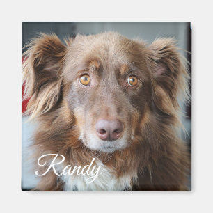 Personalised Dog Photo and Name Magnet