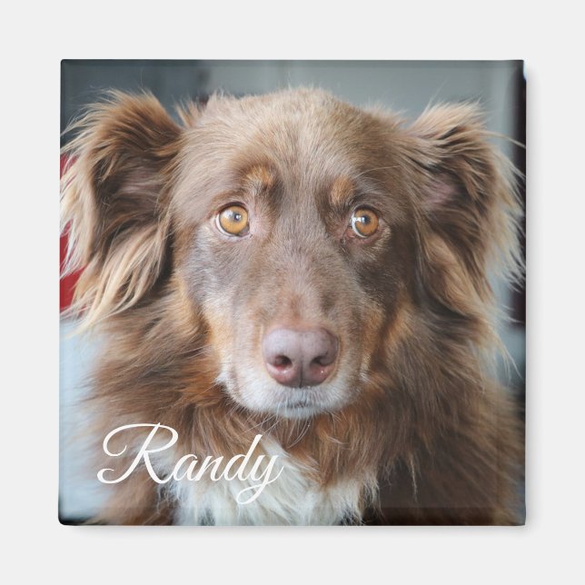 Personalised Dog Photo and Name Magnet (Front)