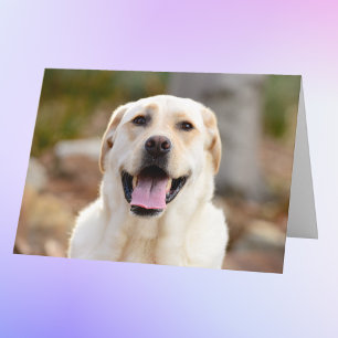 Personalised Dog Photo Card