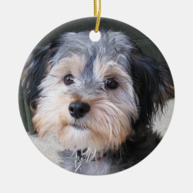 Personalised Dog Photo Frame - DOUBLE-SIDED Ceramic Tree Decoration (Front)