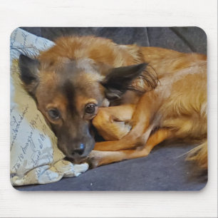 Personalised Dog Photo   Mouse Pad