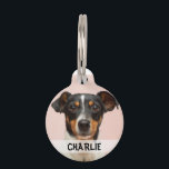 Personalised dog photo name phone number pet tag<br><div class="desc">Personalise this dog tag with your dog's photo,  name and keep your pup safe by adding phone number on the back.</div>