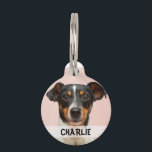 Personalised dog photo name phone number pet tag<br><div class="desc">Personalise this dog tag with your dog's photo,  name and keep your pup safe by adding phone number on the back.</div>