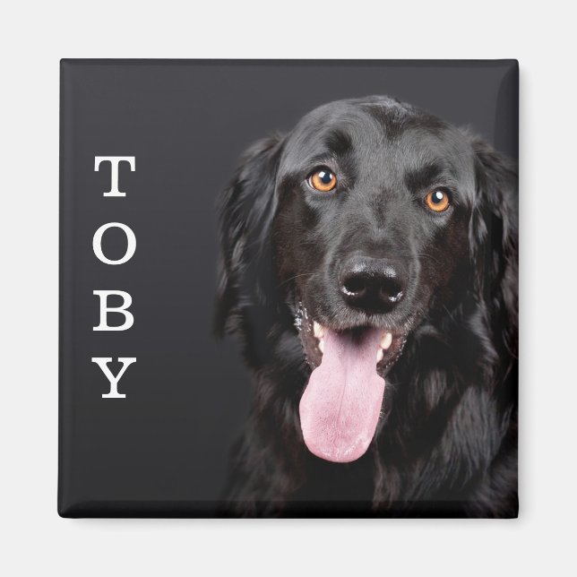 Personalised Dog Photo Refrigerator Magnet (Front)