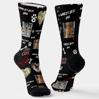 Personalised Dog Photo Socks - Custom Name