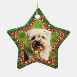 Personalised Dog Photo Star Shaped Christmas Ceramic Tree Decoration