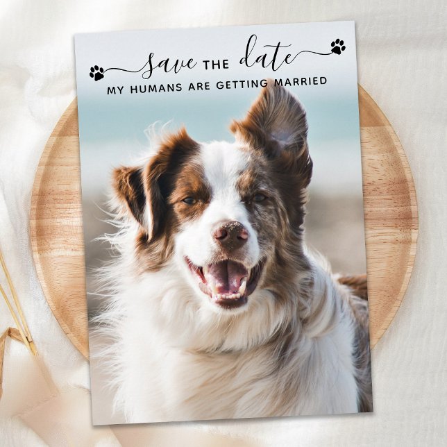 Personalised Dog Wedding Pet Photo Save The Date (Creator Uploaded)