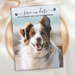 Personalised Dog Wedding Pet Photo Save The Date Announcement Postcard