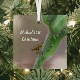 Personalised Dung Fly Photo Christmas Ornament