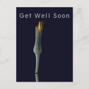 Personalised Elegant Flower on Black Get Well Postcard