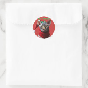 Personalised Elf Sphynx Cat Photo Christmas Classic Round Sticker