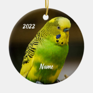 Personalised English Budgie Parakeet Ceramic Tree Decoration