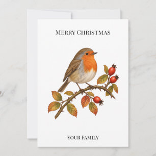 Personalised European Robin Christmas Holiday Card