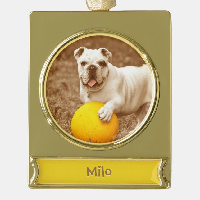 Personalised Family Ornament (Front)