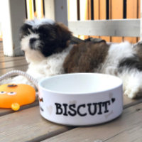Personalised Feeding Modern Pup Icon Dog Bowl