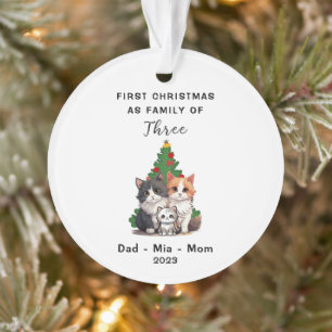Personalised First Christmas As Family Of Three Ornament