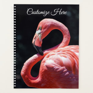 Personalised Flamingo Weekly/Monthly Planner