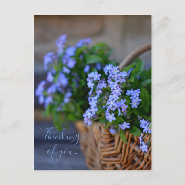 Personalised//Forget-me-nots In A Basket Postcard (Front)