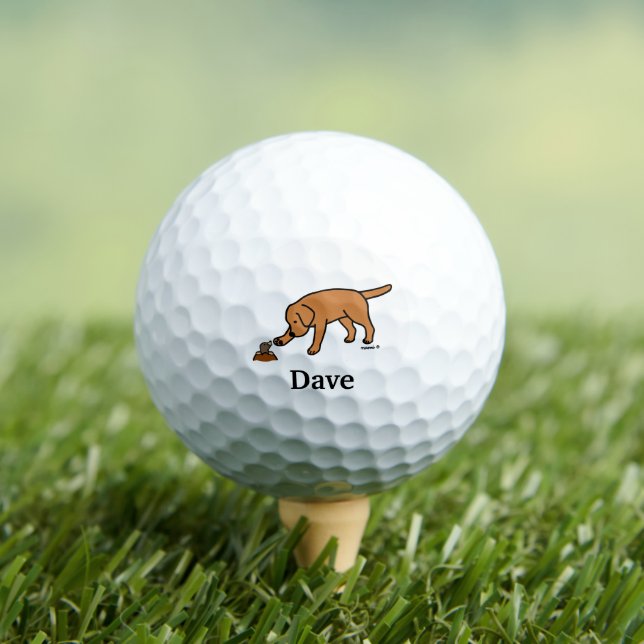Personalised Fox Red Labrador Friendly  Golf Balls (Insitu Tee)