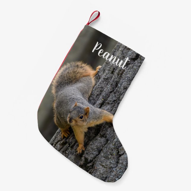 Personalised Fox Squirrel on a Tree Small Christmas Stocking (Front (Hanging))