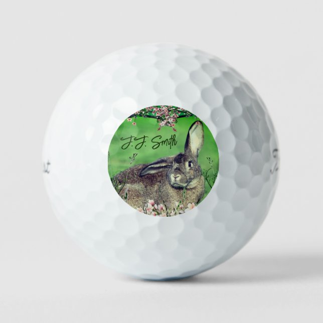 Personalised Fun 3 Pack Hare Rabbit Animal  Golf Balls (Front)