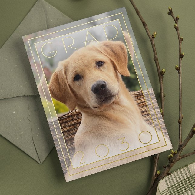 Personalised Fun Puppy School Graduation Gold (Creator Uploaded)