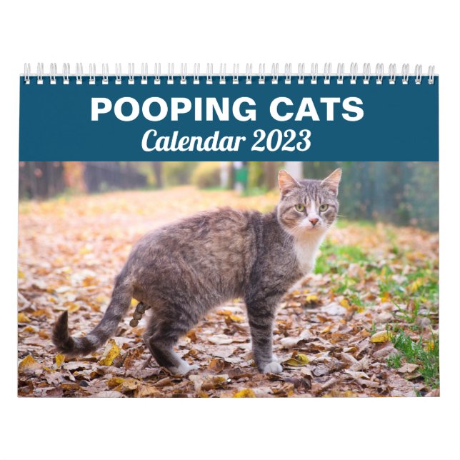 Personalised Funny Cats Pooping Calendar 2026 (Cover)