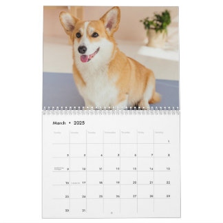 Personalised Funny Corgi Dog Pet Photo Calendar