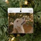 Personalised Funny Dog Picture Christmas Photo